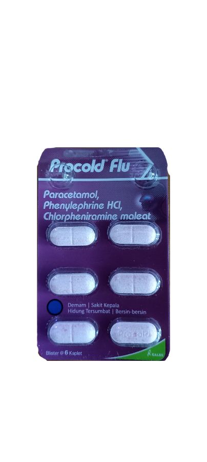 Procold flu 144 tab