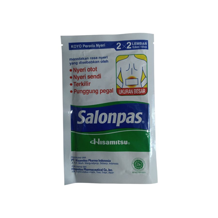 Hisamitsu Salonpas 2x2L