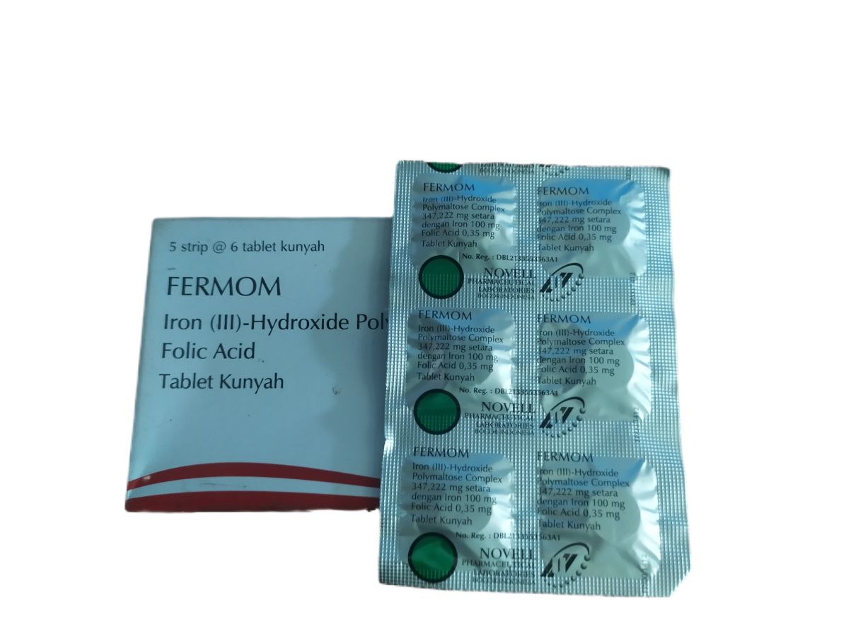 Fermom (Novel)