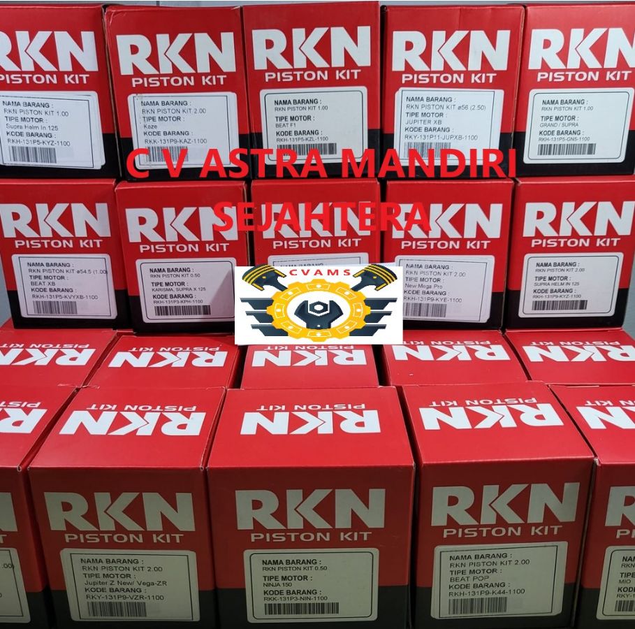 RIKEN PISTON KIT STD