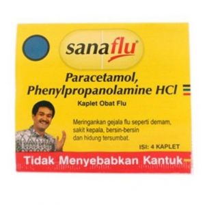 SANAFLU 4TB