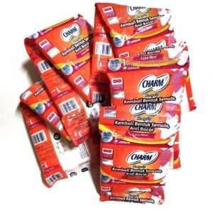 CHARM SET NON WING E500 23CM 1PAD