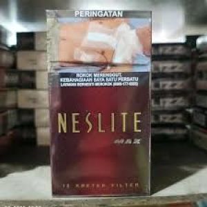 NESLITE MAX12