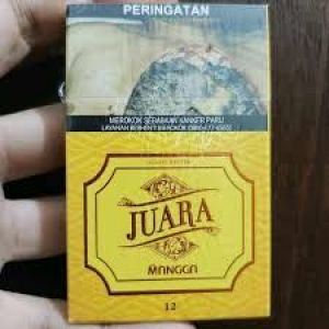 ROKO JUARA MANGGA KRETEK12