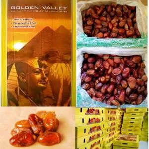 KURMA GOLDEN VALEY