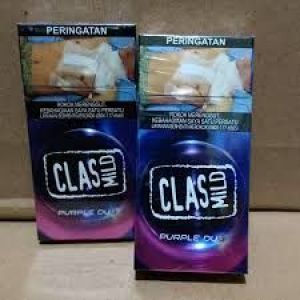 CLASMILD PURPLE DUO 12