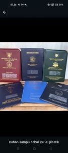 Sampul raport 14-18