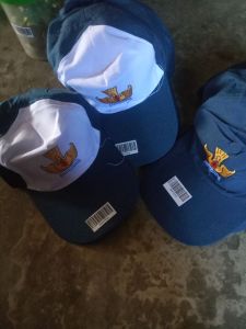 Topi smp