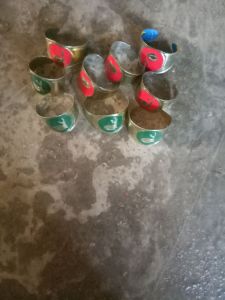 Ring siaga dan penggalang 