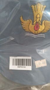 Topi SMA