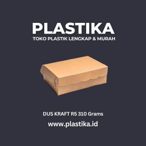 Dus R5 Kraft Coklat Polos Cap Cahaya 275 GSM/CAK 310 @100 LCR