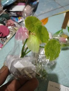 Lampu tidur model jamur