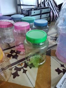 TOPLES SOFIA WARNA