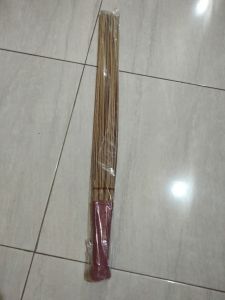 PENEBAH VANESIA