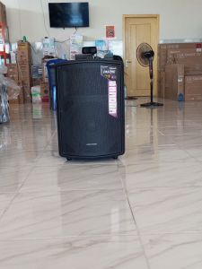 POLYTRON PAS PRO 12F3