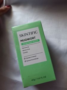 Skintific mugwort acne claystick