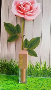Dazzle me lipcream body talk 