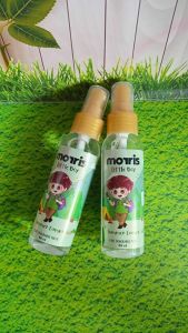 Morris little boy SUMMER CAMPS