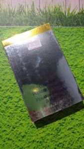 Inez lustrous pressed powder shade10