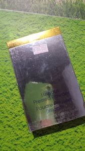 Inez lustrous pressed powder shade 11