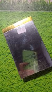 Ines lustrous pressed powder shade 12