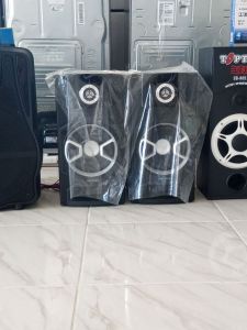 POLYTRON PAS8E10