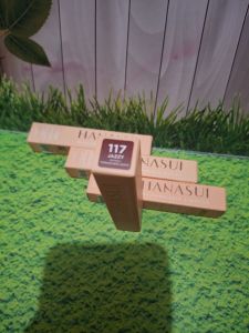 HANASUI LIPSTIK SHADE 117