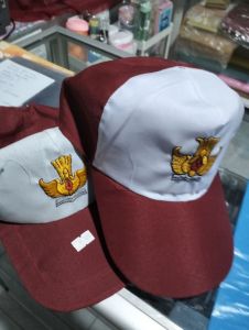 Topi anak SD