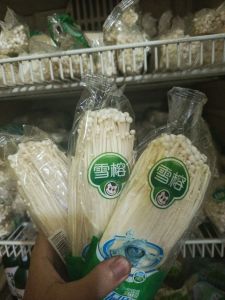 Jamur Enoki