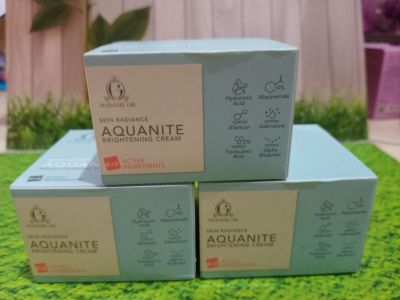 Madame Gie Skin Radiance Aquanite Brightening Cream