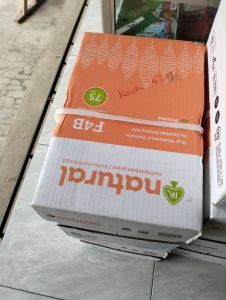 Kertas HVS F4 natural