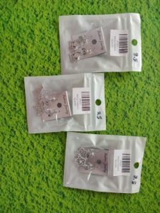 Anting Titanium