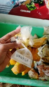 Bumbu ungkep