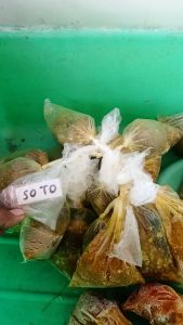 Bumbu soto