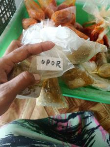 Bumbu opor