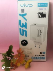 CHARGER VIVO 120W