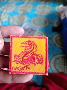 Regu Naga