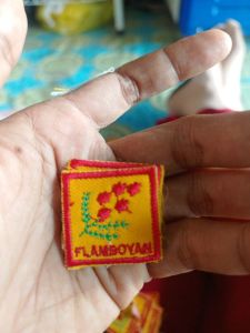 Regu flamboyan