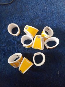 Cincin kacu kuning biasa