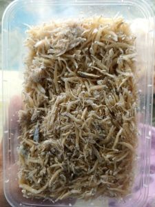 Teri medan
