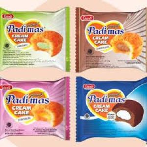 PADIMAS BOLU E500 10G ALL VARIAN