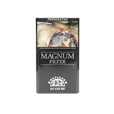 MAGNUM FILTER12