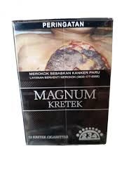 MAGNUM KRETEK12 REG