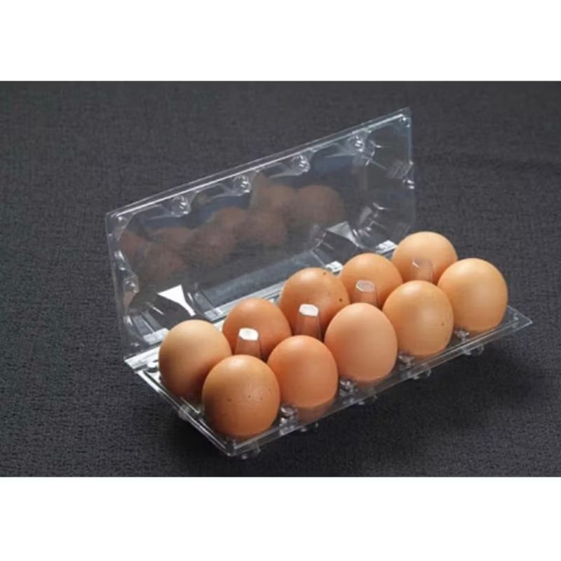 Telur Omega pack