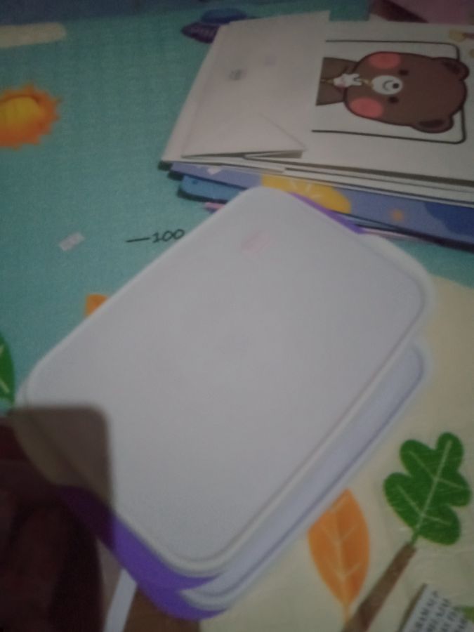 Toples nasi bekal 20 ribuan