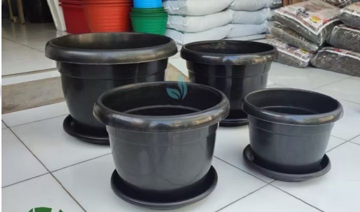 POT FLORIA 7540 HTM MASPION