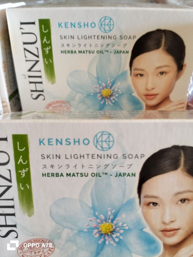SINZUI KENZO