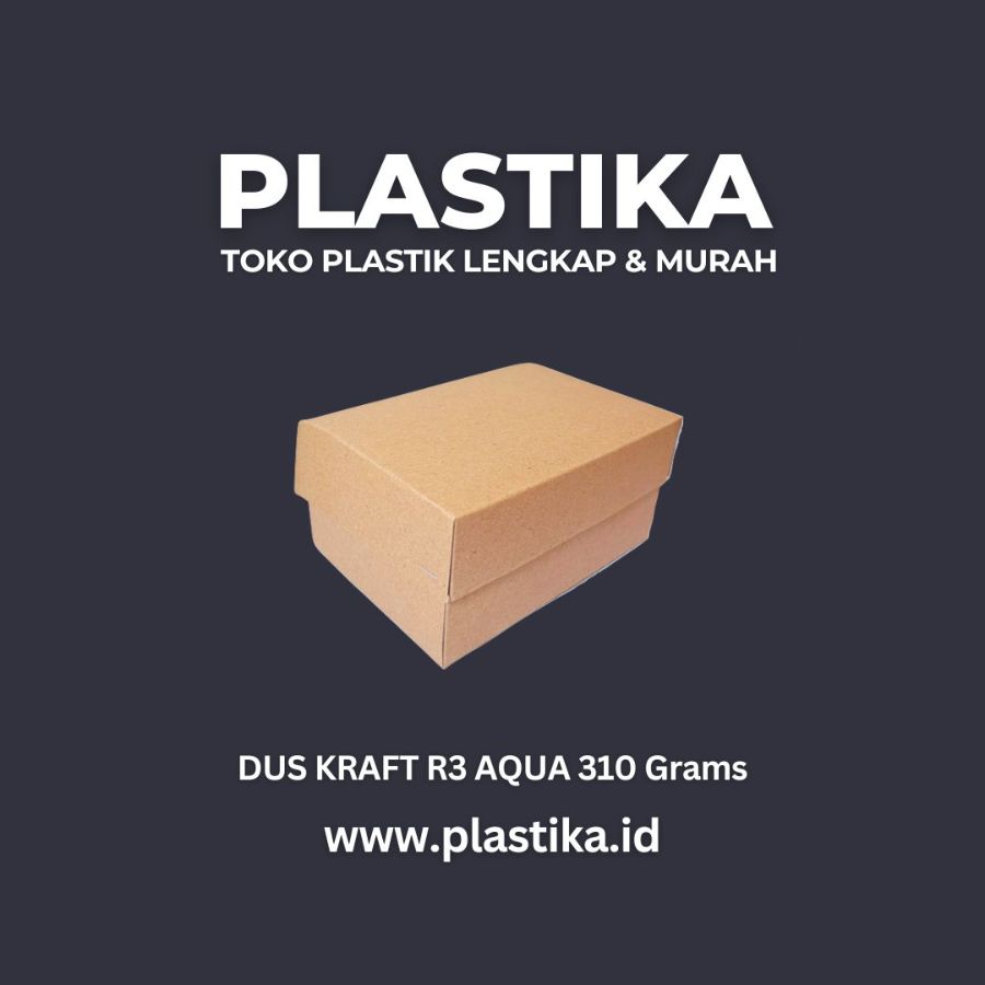 Dus R3 Aqua Kraft Coklat Polos Cap Cahaya 310 @100 LCR