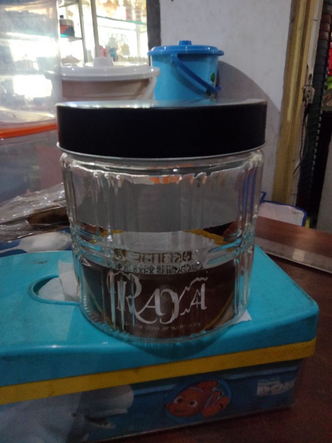 TOPLES RAYA SCR01