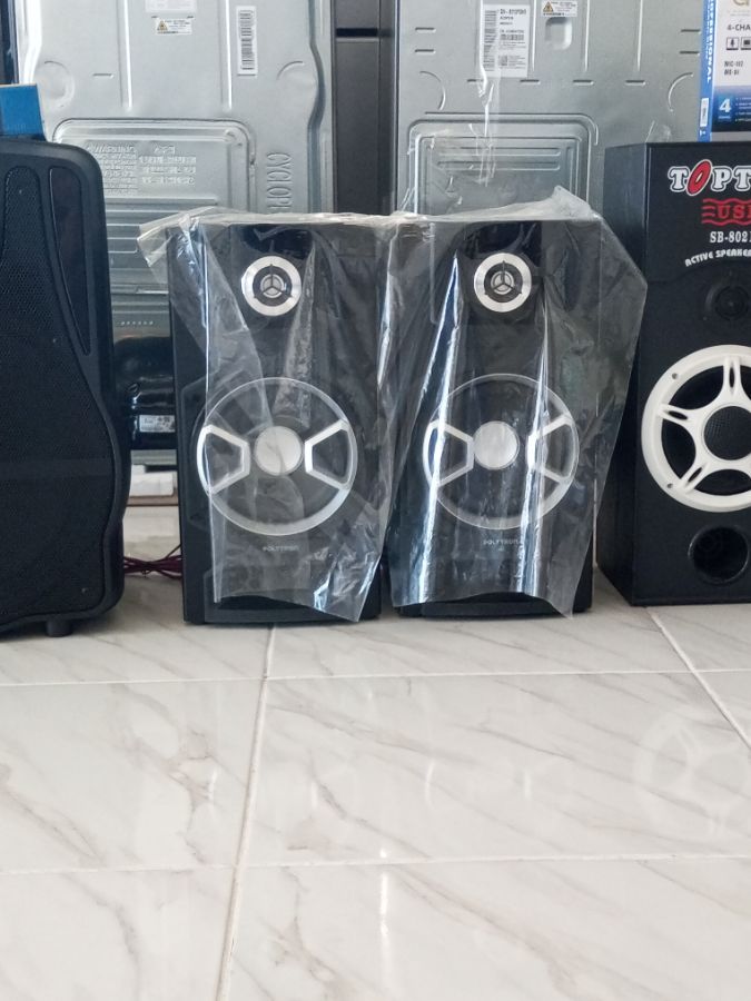 POLYTRON PAS8E10